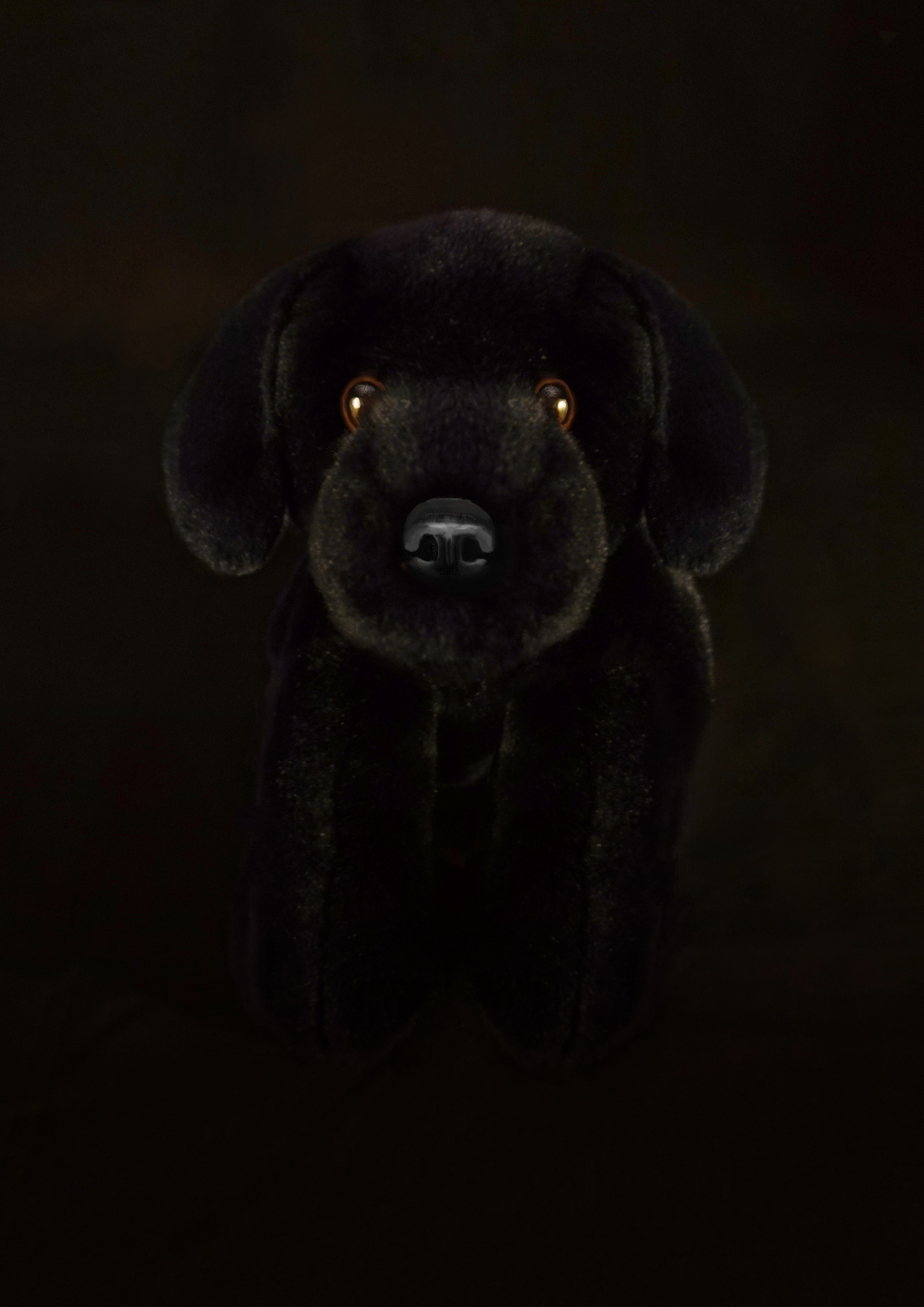 Superstition II - Limited Edition Print